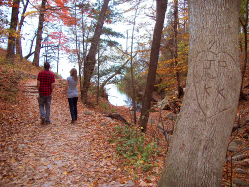 Autumn Forest Bathing