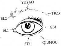 Acupressure Points to Improve Vision