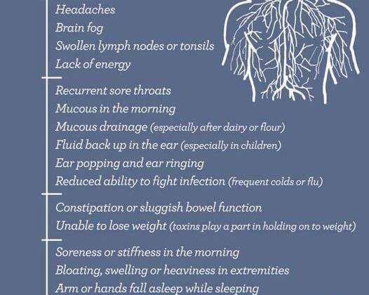 The Lymphatic System & Why It's So Important
