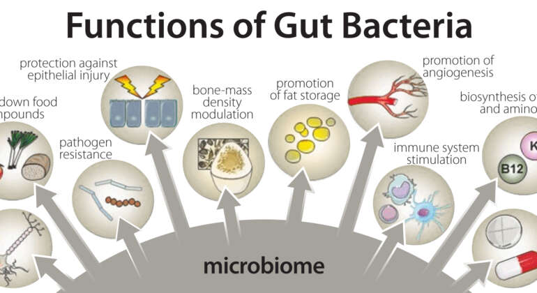 Nitric Oxide, the Gut Microbiome & Dysbiosis