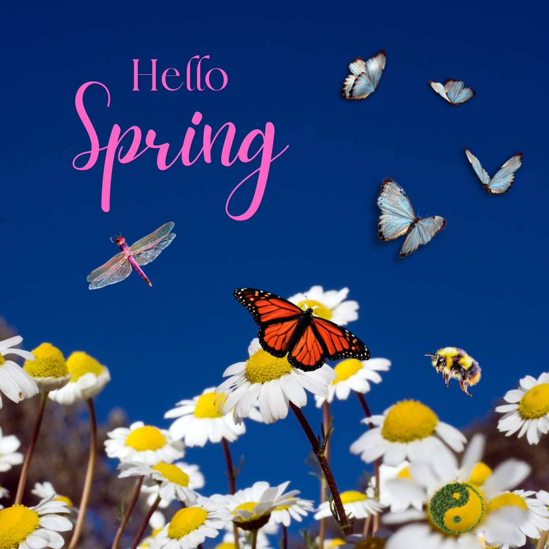 Transitioning from Winter to Spring with East Asian Medicine