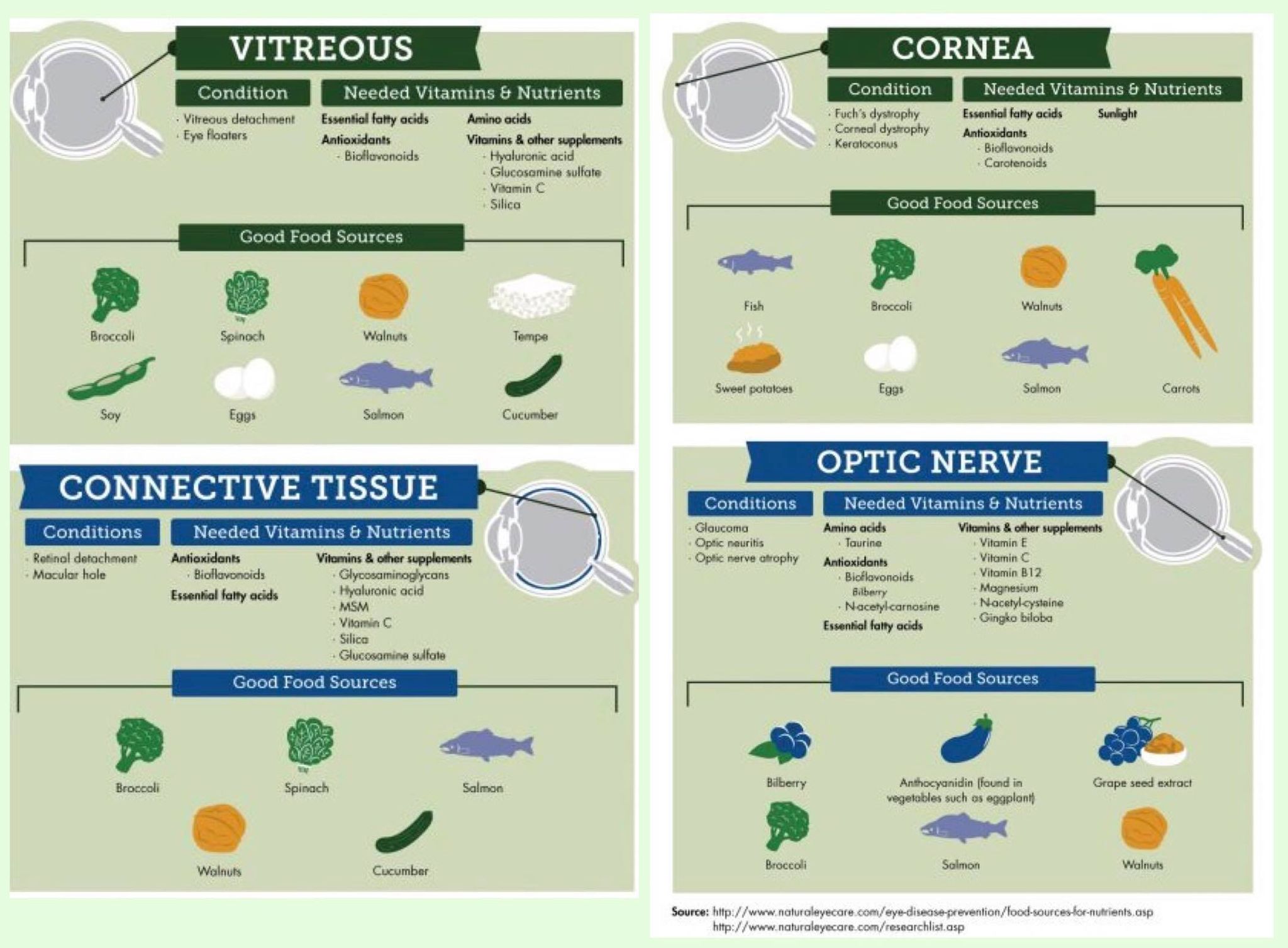 May is Healthy Vision Month