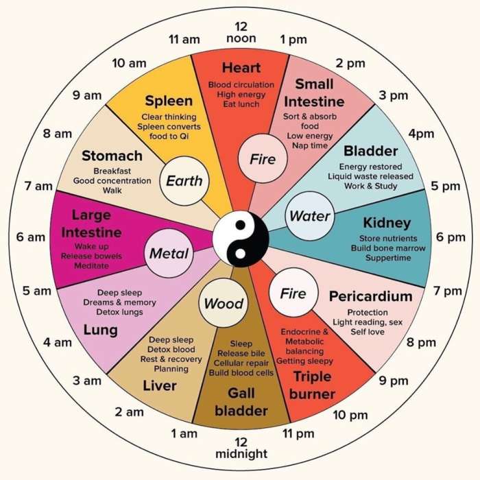 Meet the Chinese Body Clock - Dr. Kim M. Filkins